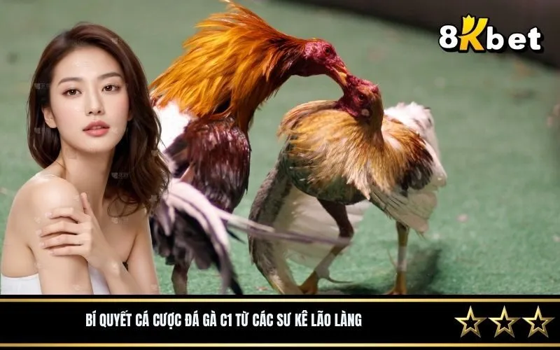 Bí quyết cá cược đá gà C1 từ các sư kê lão làng