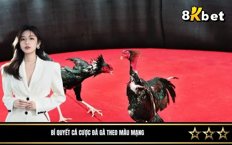 Chiến lược cá cược cách đá gà theo màu hiệu quả