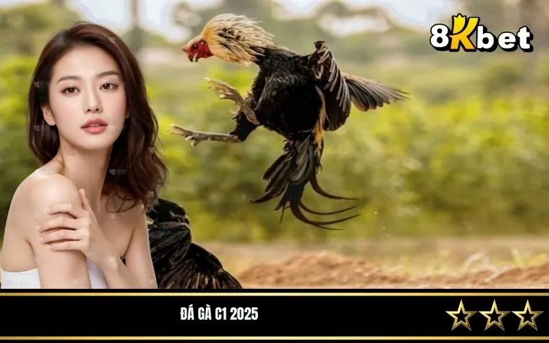 Đá Gà C1 2025