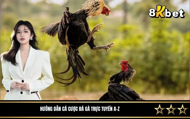 Hướng Dẫn Cá Cược Đá Gà Trực Tuyến A-Z