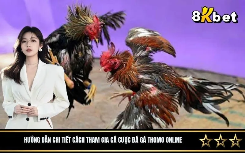 Hướng dẫn chi tiết cách tham gia cá cược đá gà Thomo online