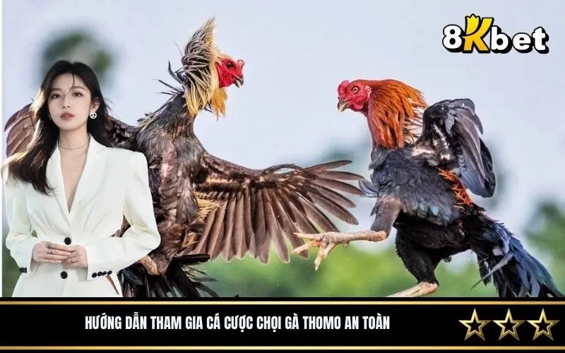 Hướng Dẫn Tham Gia Cá Cược Chọi Gà Thomo An Toàn