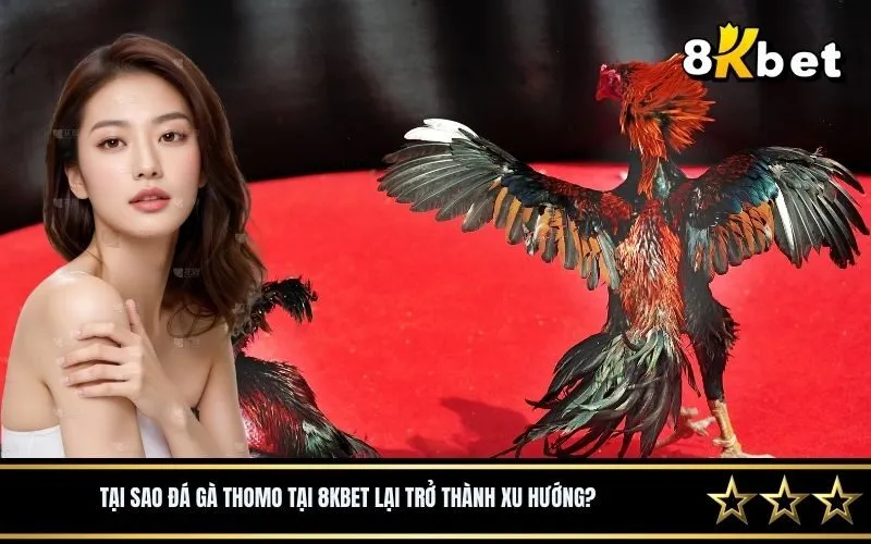 Tại sao đá gà Thomo tại 8Kbet lại trở thành xu hướng