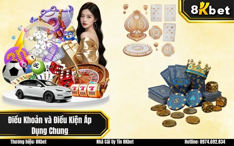 Điều Khoản và Điều Kiện Áp Dụng Chung